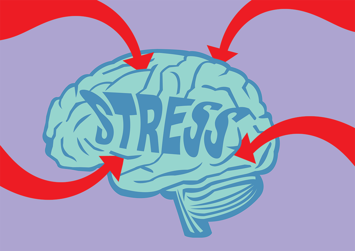 how stress impacts children's brain development